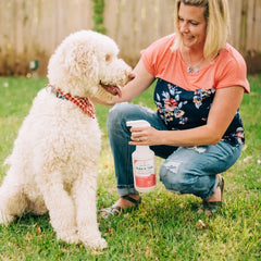 Apartment Treatment Kit | Flea & Tick Spray
