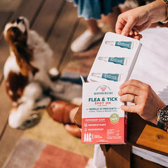 12-Month Flea & Tick Spot On for Large Dogs