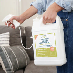 Lemongrass Indoor Pest Control for Home + Kitchen