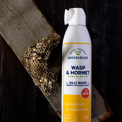 Wasp & Hornet for Porch + Patio