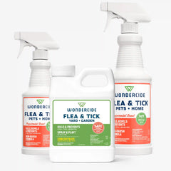 Early Intervention Kit | Flea & Tick Spray