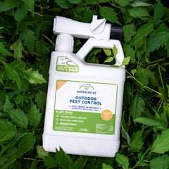 Ready-to-Use Outdoor Mosquito Spray