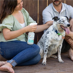 128 oz. Cedarwood Flea & Tick Spray